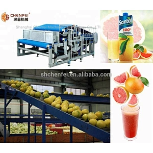 Turnkey NFC concentrated jujube and date fruit juice production line