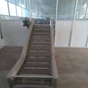 Pear  beverage  processing bucket elevator