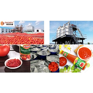 Fresh Mango Making Equipment / Strawberry Jam / Blueberry Sauce  Pulping machine