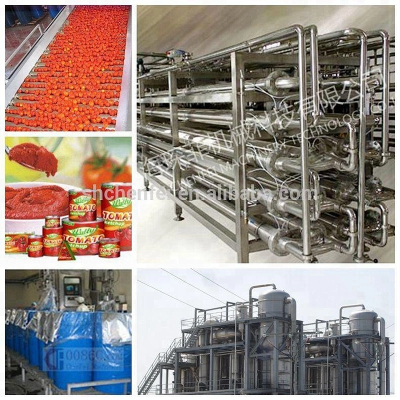Complete automatic Tomato paste processing line making machine/plant