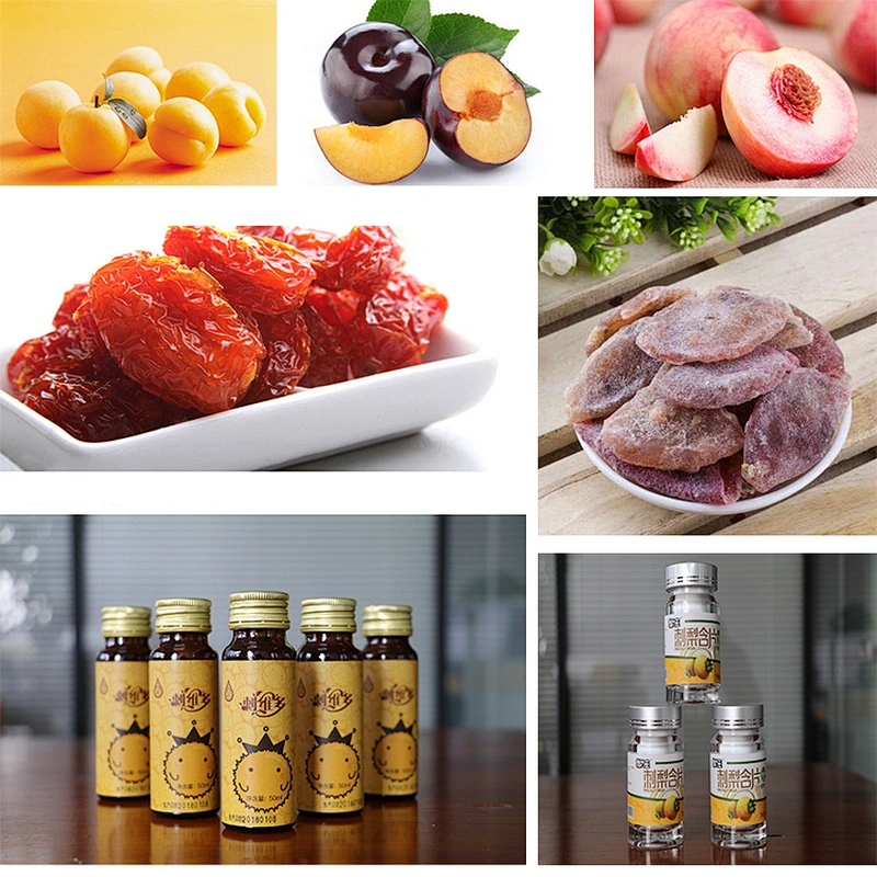 automatic turnkey pineapple and fruit juice processing line