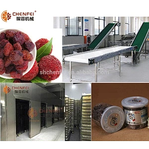 turnkey preserved fruit and vegetable small candied fruit processing project line