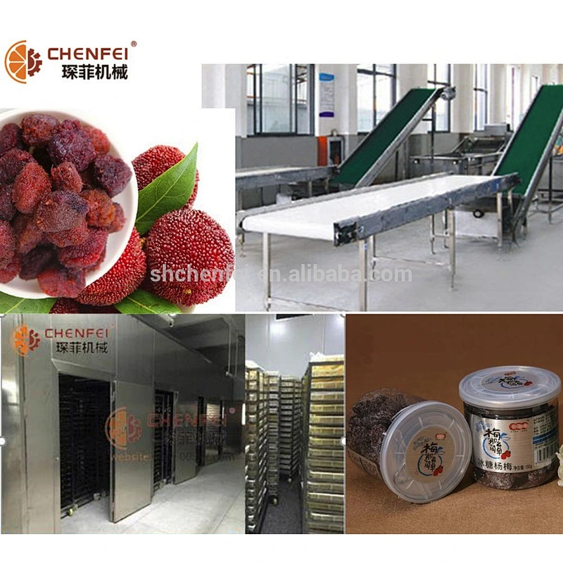 turnkey preserved fruit and vegetable small candied fruit processing project line