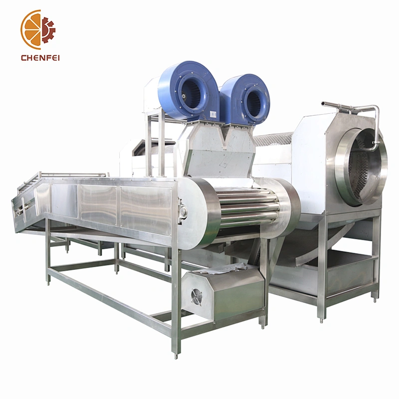 turnkey dried apricot mango processing production line