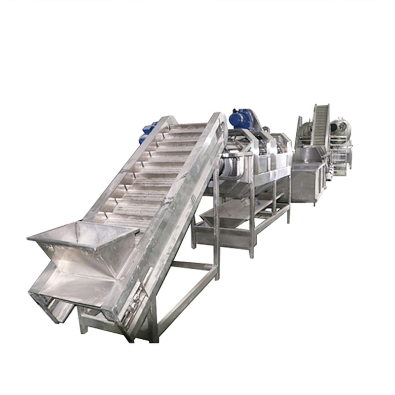 turnkey dried apricot mango processing production line