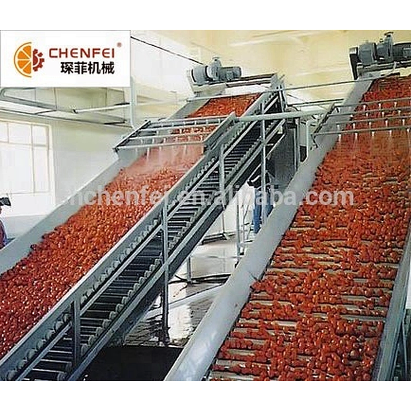 High Quality and Efficiency Fruit and Vegetable Processing Elevator Conveyor Machine