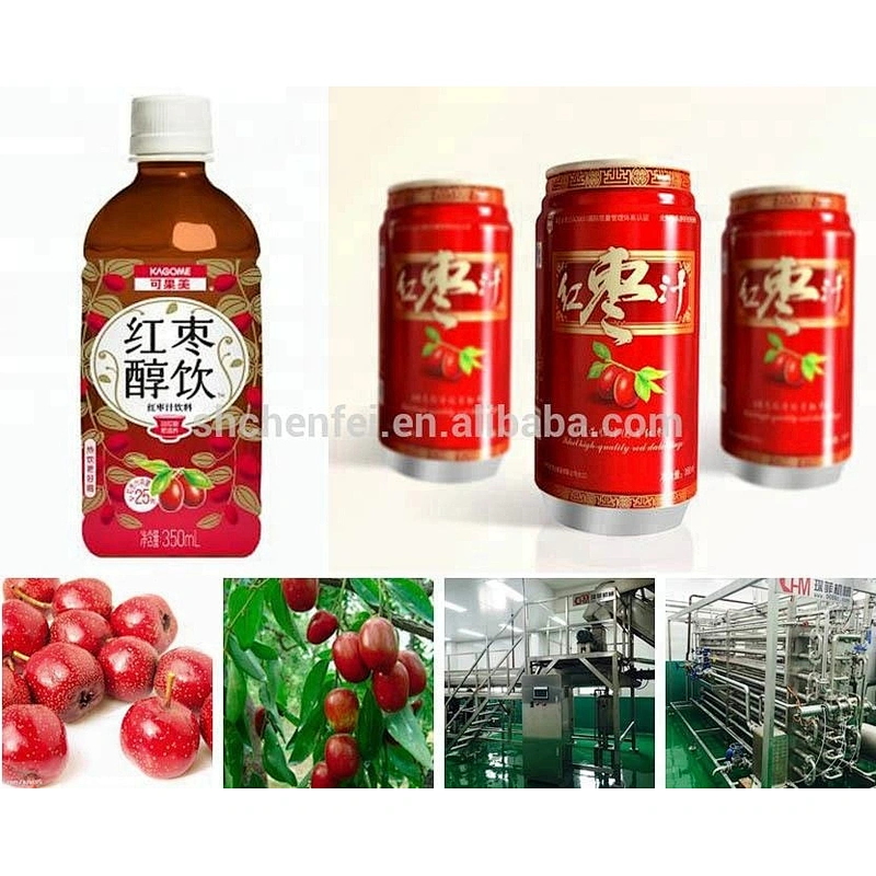 Wide application and automatic screw press for food processing line