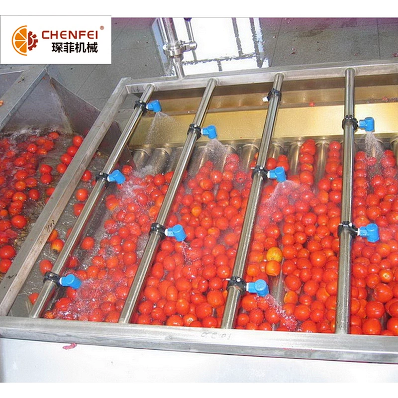 Fruit Washing and Sorting Machine Strawberry Mango Washer High Quality Bubble Washer
