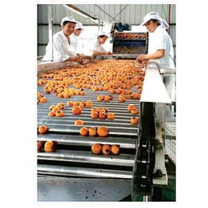 Peach apricot processing  line  Concentrated peach juice machine