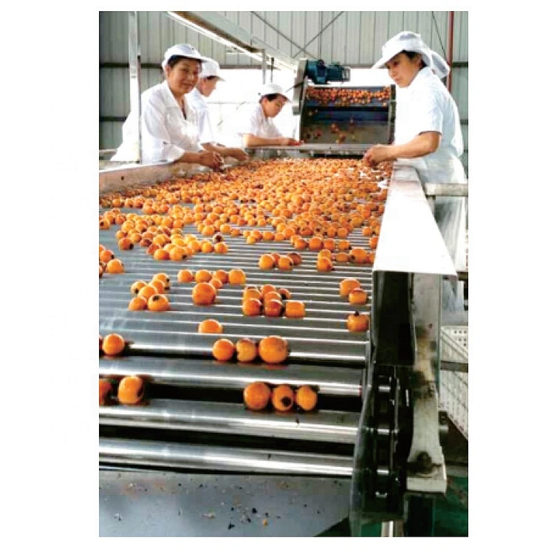 Peach apricot processing  line  Concentrated peach juice machine