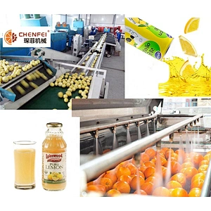 Turnkey pineapple small fruit and vegetable juice processing production line plant