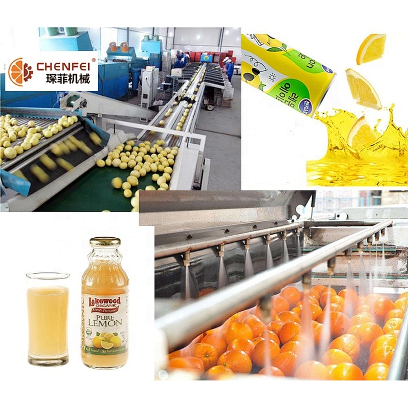 Turnkey pineapple small fruit and vegetable juice processing production line plant