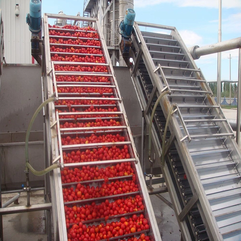Pear  beverage  processing bucket elevator
