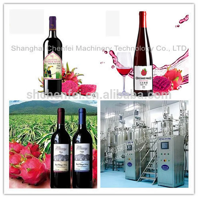 Turnkey high quality dragon vegetable fruit and wine production line plant