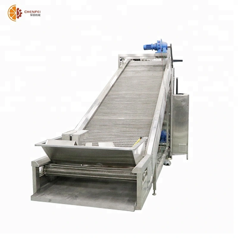 high level fruit and vegetable lifting elevator production line machines