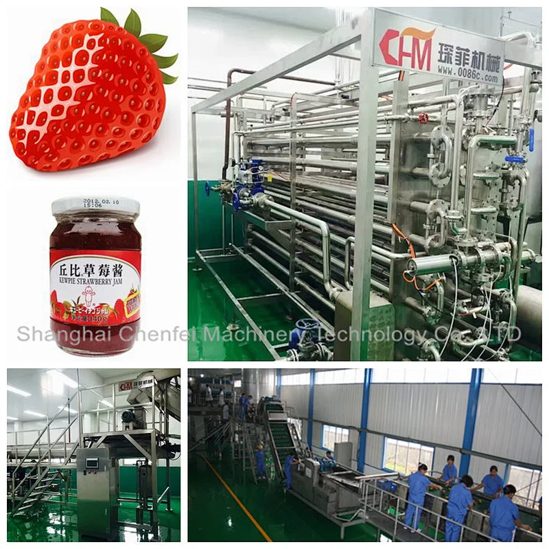 dried mango kiwi fruit powder sugar juice processing machine plant
