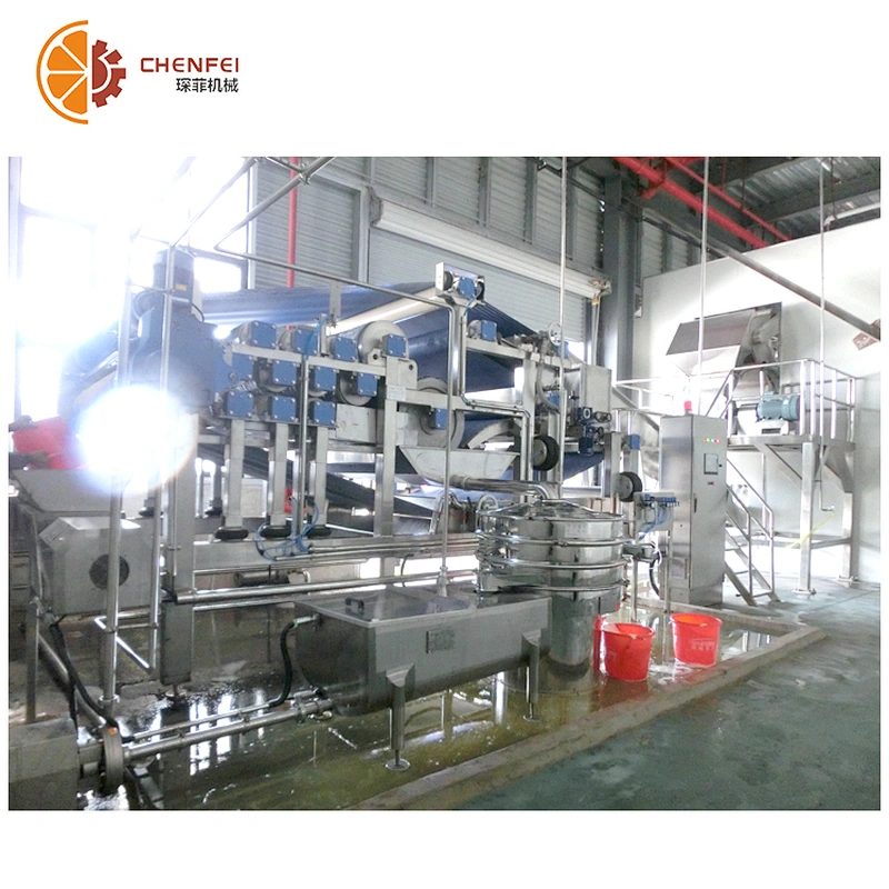 fruit Juice pineapple coconut juice cold press machine industrial spiral  juice extractor pine squeezer machine