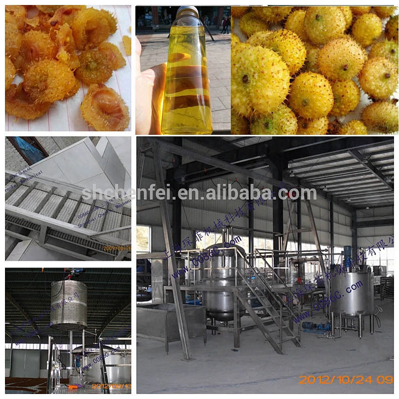 turnkeycili fruit vegetable and fruit juice processing line plant