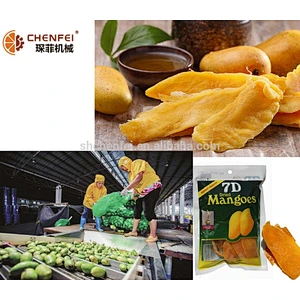 preserved dried mango strawberry production line