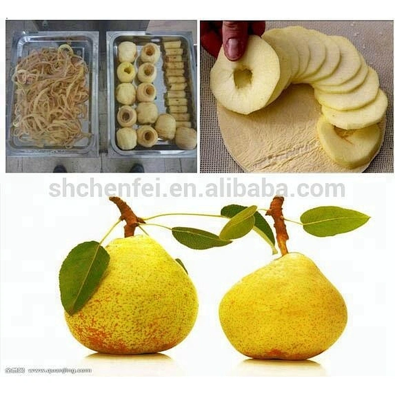 Preserved small dried fruit and vegetable processing production line