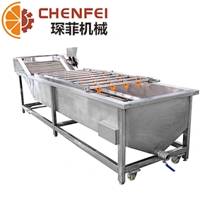 Hot Sale Tomato Processing Bubble Washer Fruit Vegetable Industrial Washer Machine