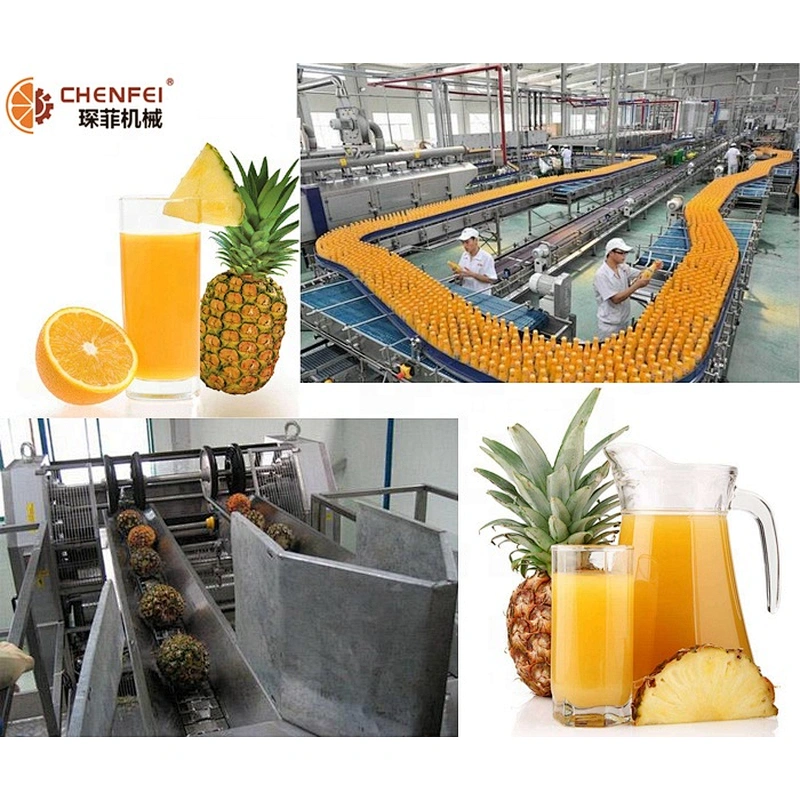 Turnkey pineapple small fruit and vegetable juice processing production line plant