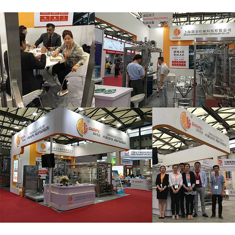 Automatic dicer machine for food processing line