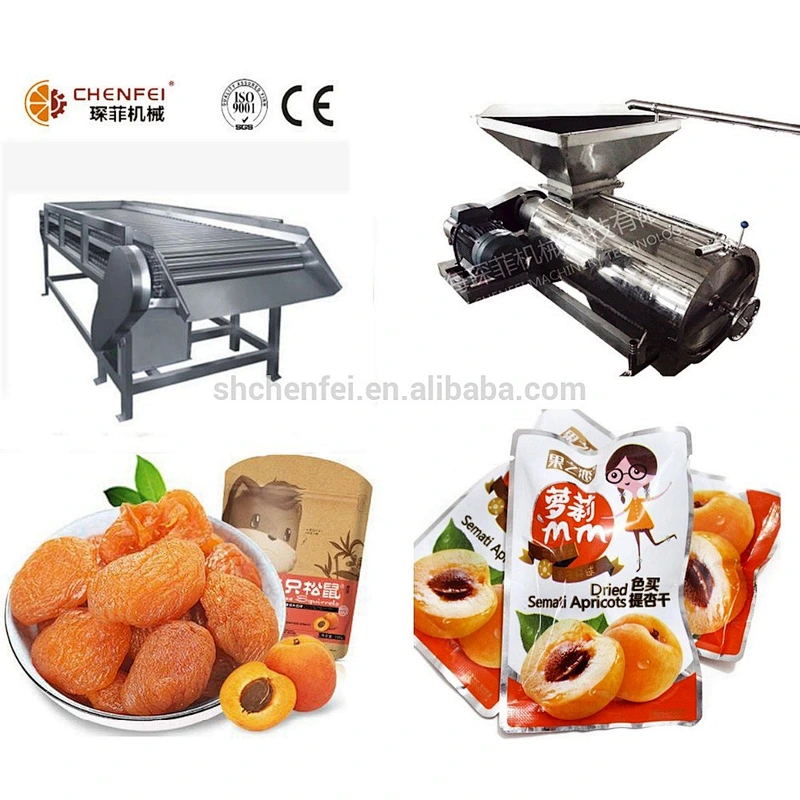 turnkey dried apricot mango processing production line