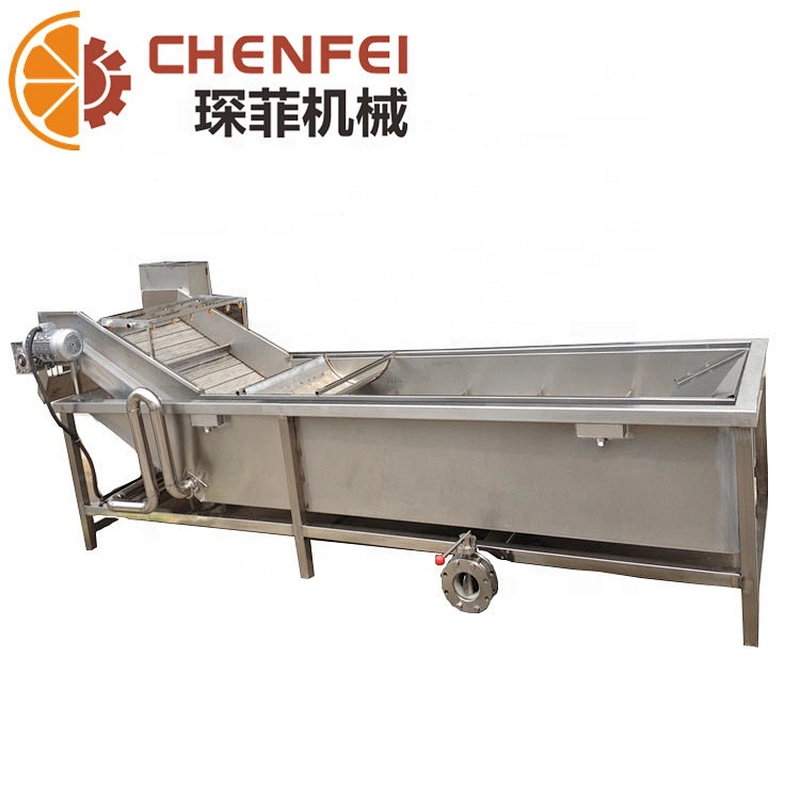 Fruit Washing and Sorting Machine Strawberry Mango Washer High Quality Bubble Washer