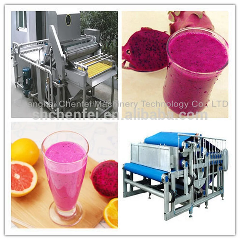 turnkey dragon small fruit and vegetable juice processing line plant