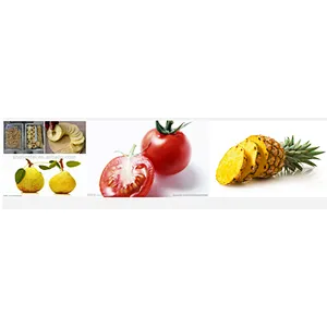 Turnkey fruit orange lemon citrus small fruit and vegetable juice production line