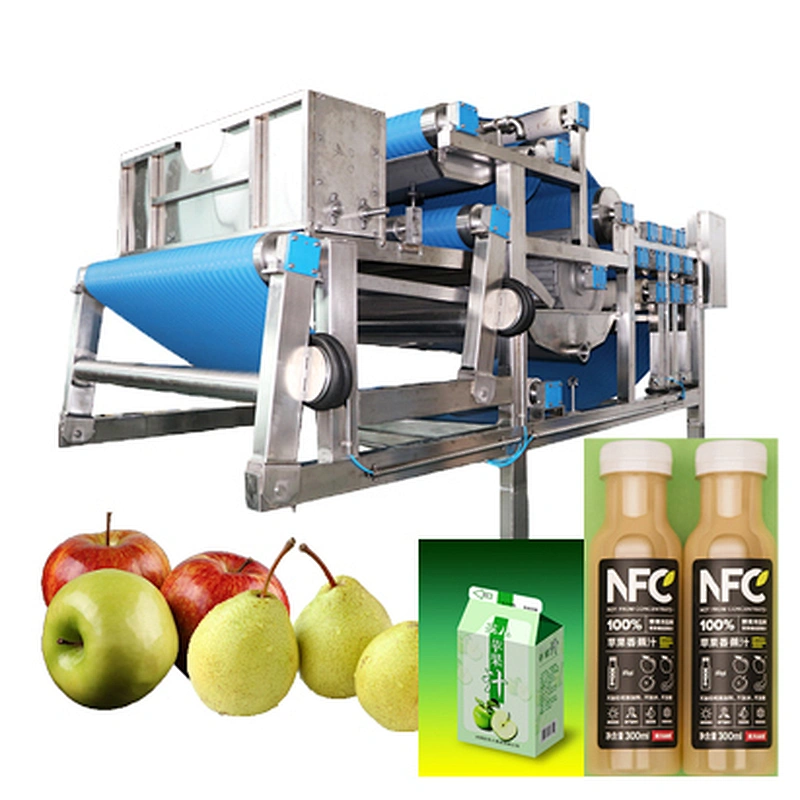 dried fruit and pineapple vegetable production line