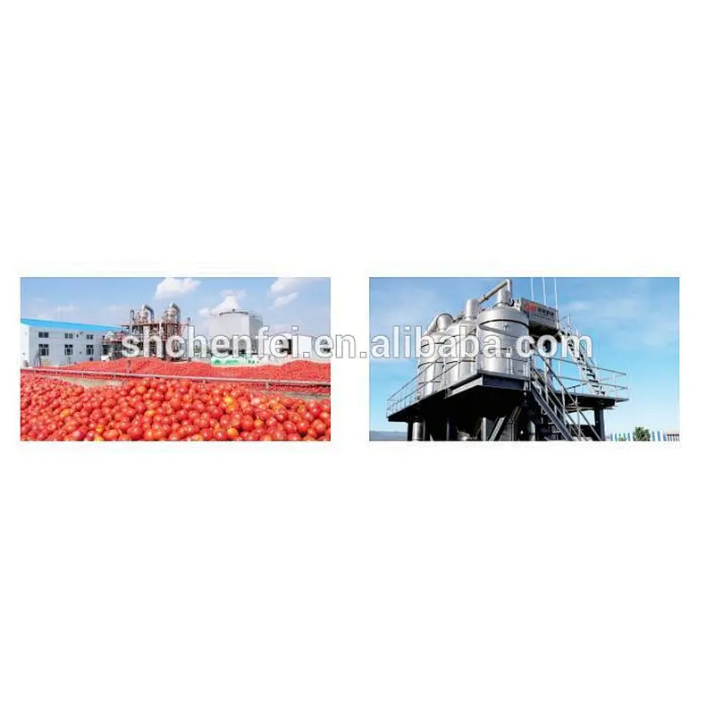 dried mango kiwi fruit powder sugar juice processing machine plant