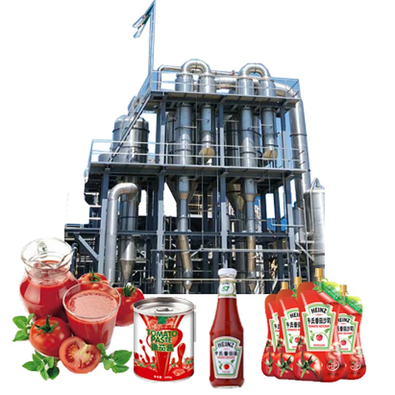 dried fruit and pineapple vegetable production line