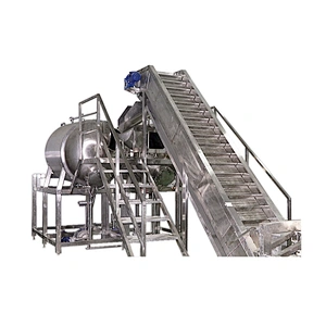 dried fruit and pineapple vegetable production line