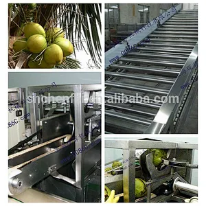 2018 trunkey ss304 coconut small fruit and vegetable juice processing line