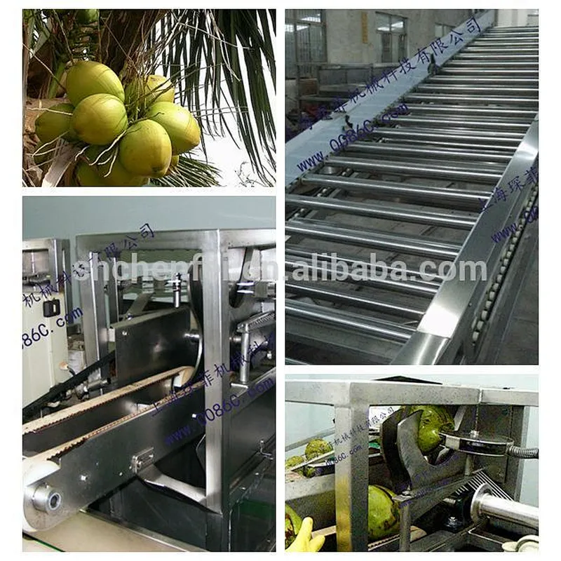2018 trunkey ss304 coconut small fruit and vegetable juice processing line