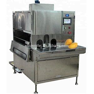 preserved dried mango strawberry production line