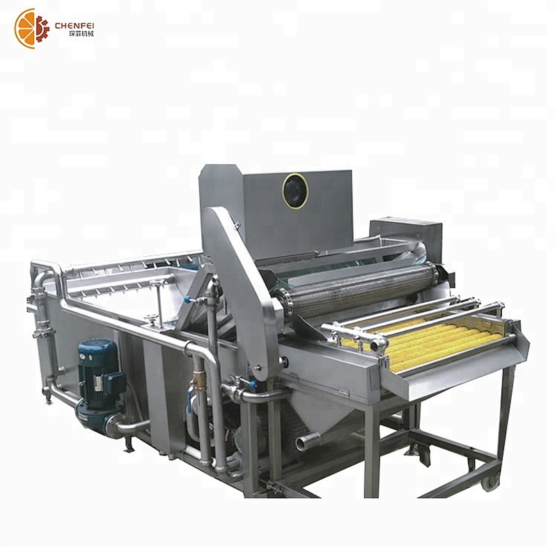Hot Sale Tomato Processing Bubble Washer Fruit Vegetable Industrial Washer Machine