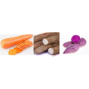 Industrial processing plant fresh carrot juice production line