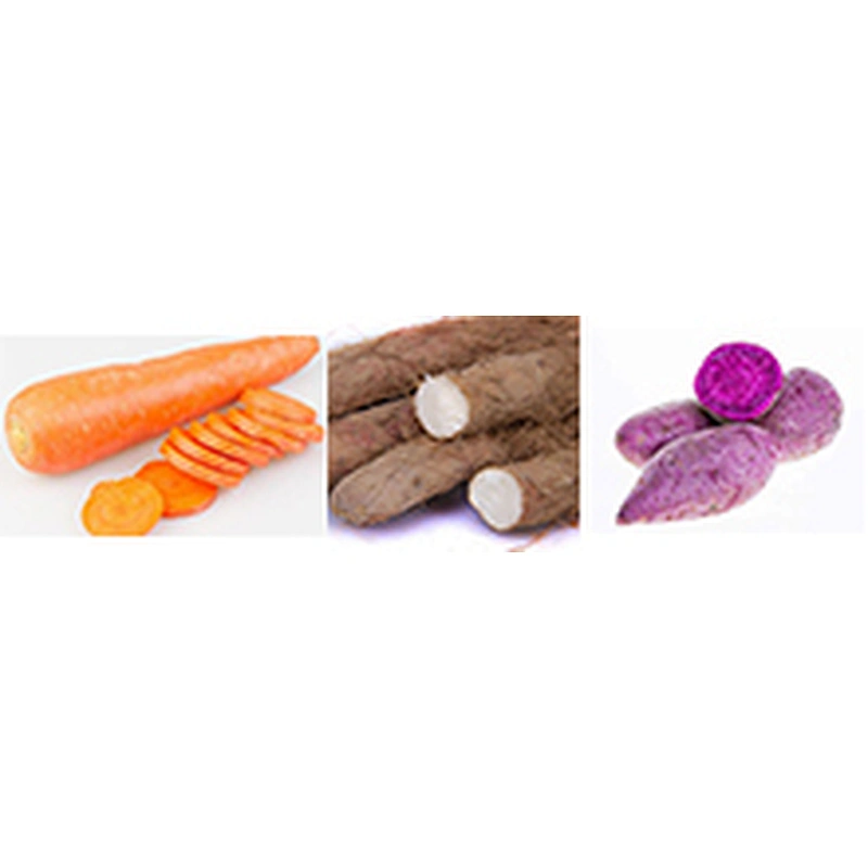 Industrial processing plant fresh carrot juice production line