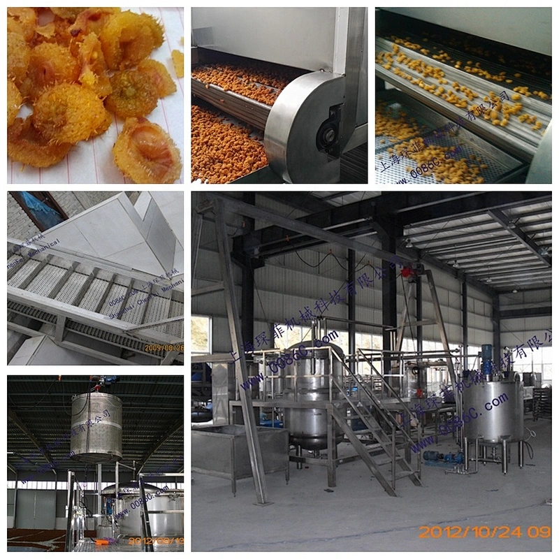 Peach apricot processing  line  Concentrated peach juice machine