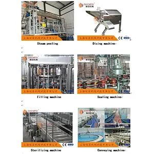 Complete automatic Tomato paste processing line making machine/plant