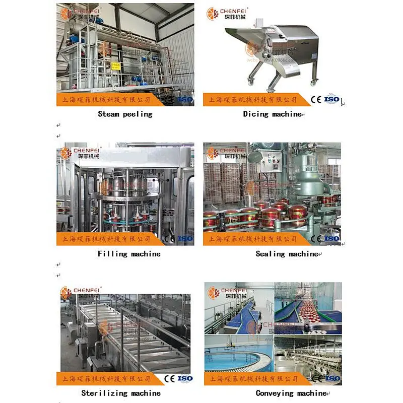 Complete automatic Tomato paste processing line making machine/plant