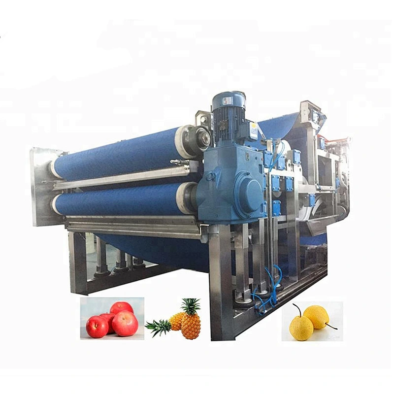 blueberry natural juice paste nectar concentrate soft drink production line