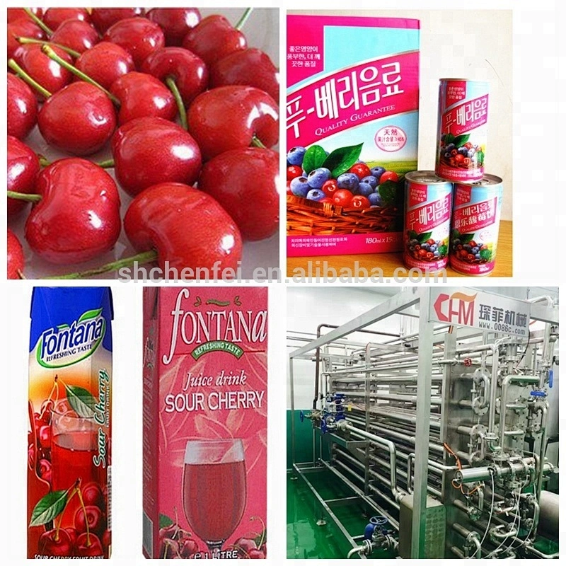 750T/day machinery tomato paste production line /tomato paste 36/38 brix