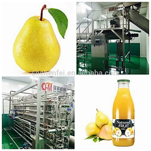 turnkey pear small fruit and vegetable juice processing production line