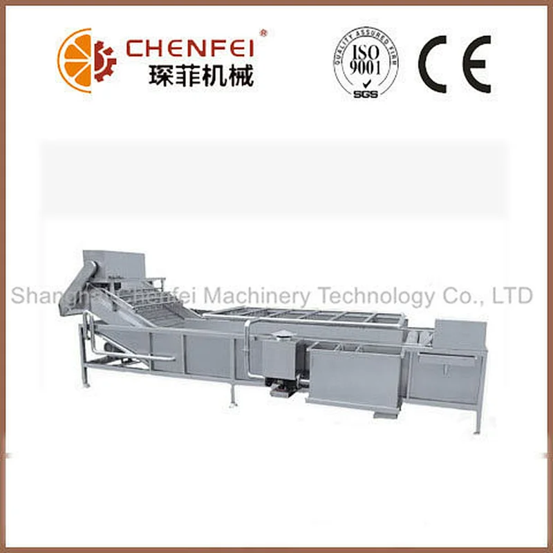 fruit and vegetable cleaning machine bubble washing machine