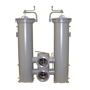 Duplex bag type high-precision filter