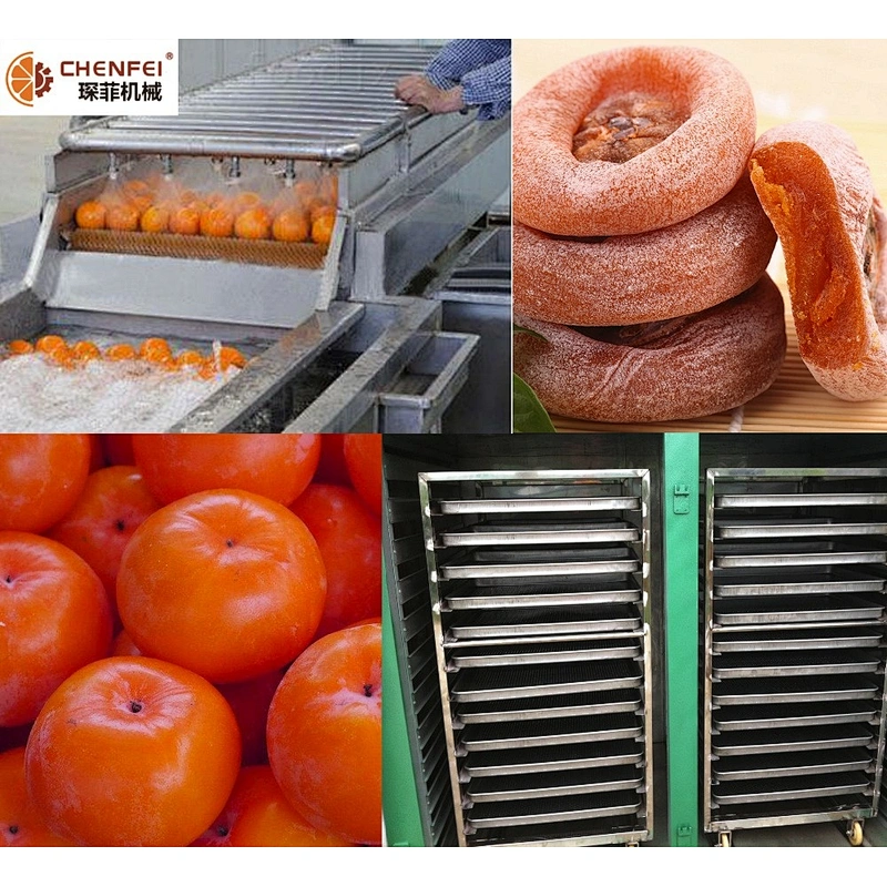 preserved dried mango strawberry production line